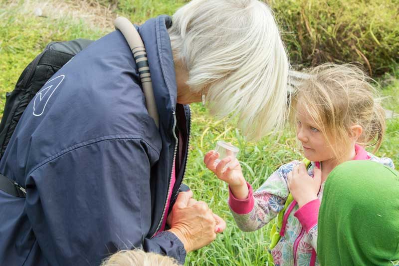 childcare titahi bay Porirua